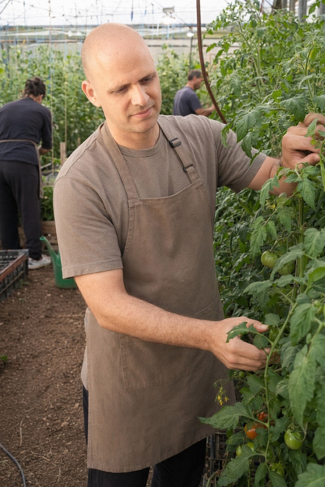 Level 4 territory. It is a lifestyle, not a menu filter, and showing up curious beats showing up defensive. Man inspecting tomato vines in a greenhouse